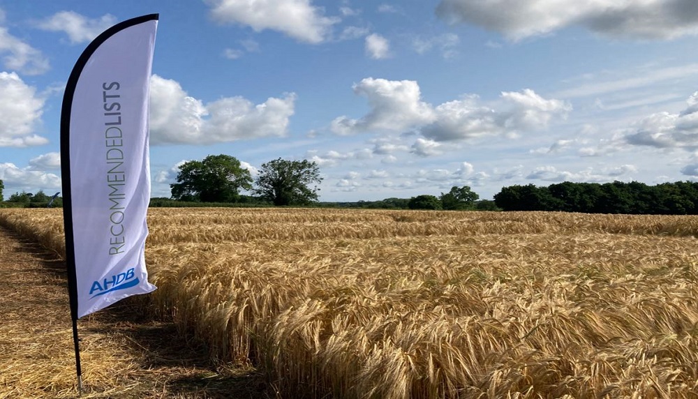 A Recommended Lists (RL) flag next to a ripening cereal crop